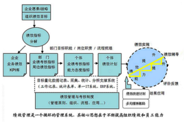 如何进行绩效管理