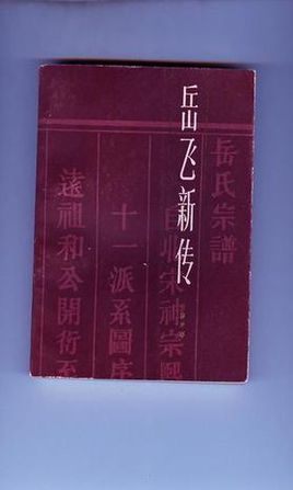 岳飞新传